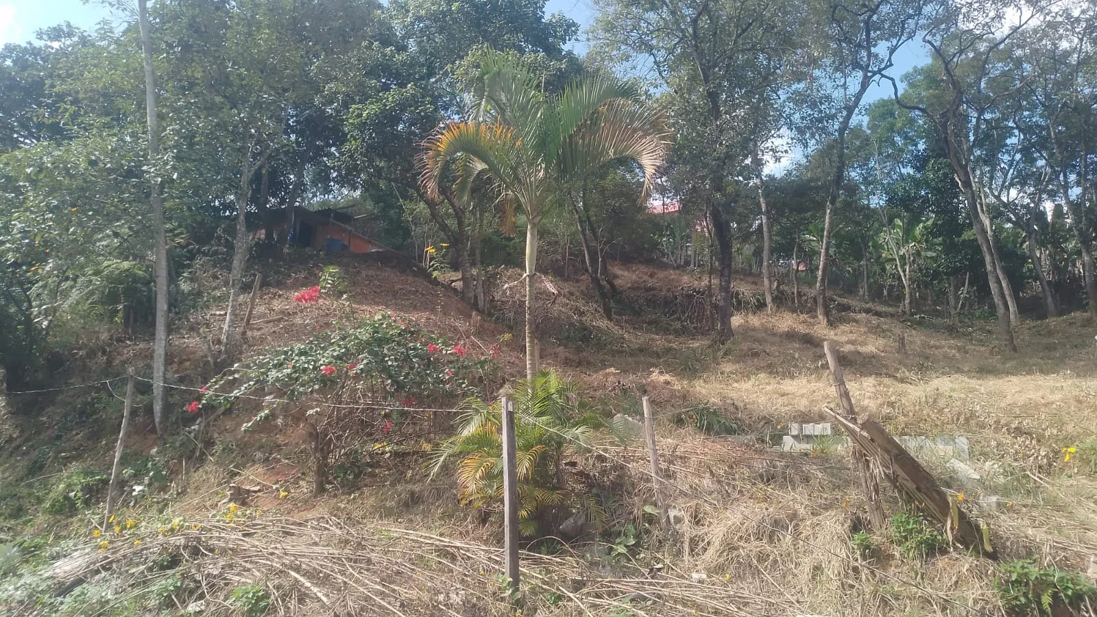 Terrenos à venda no Vau Novo