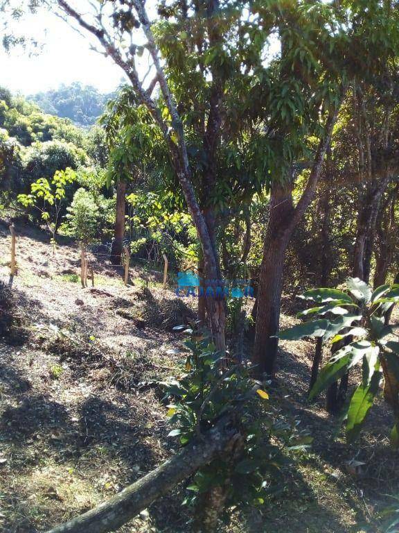 Terreno à venda, 1000 m² por R$ 120.000,00 - Ponunduva - Cajamar/SP