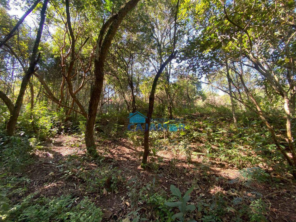Terreno à venda, 3300 m² por R$ 250.000 - Ponunduva - Cajamar/SP
