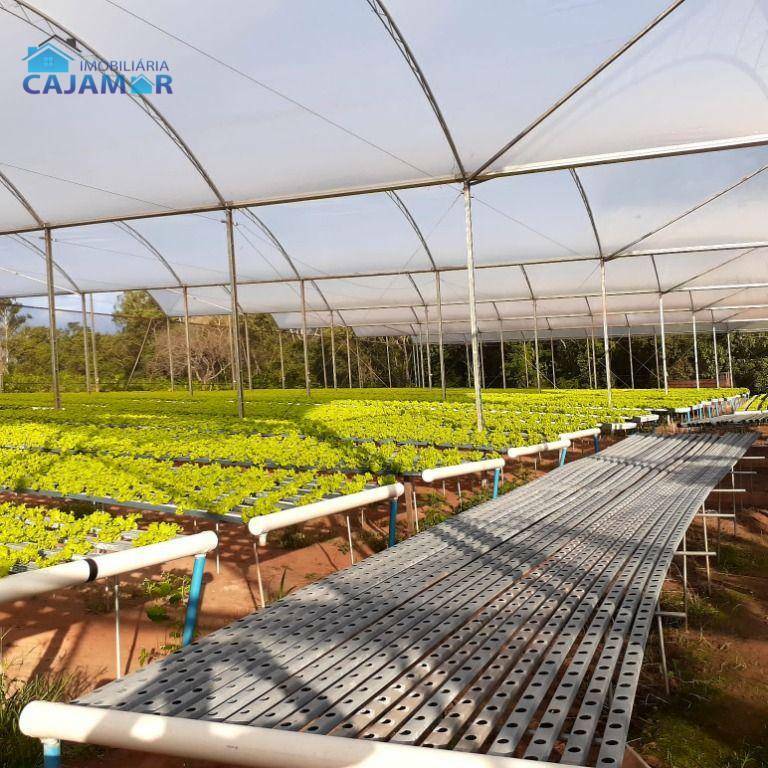 Chácara com 2 dormitórios à venda, 52000 m² por R$ 3.000.000,00 - Vila Guadiana - Mandaguaçu/PR