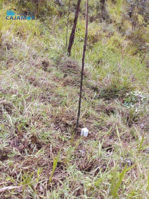 Terreno à venda, 3810 m² por R$ 120.000,00 - Por do Sol - Pirapora do Bom Jesus/SP